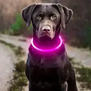 Collar Led Perro 3
