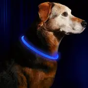 Collar Led Perro 2