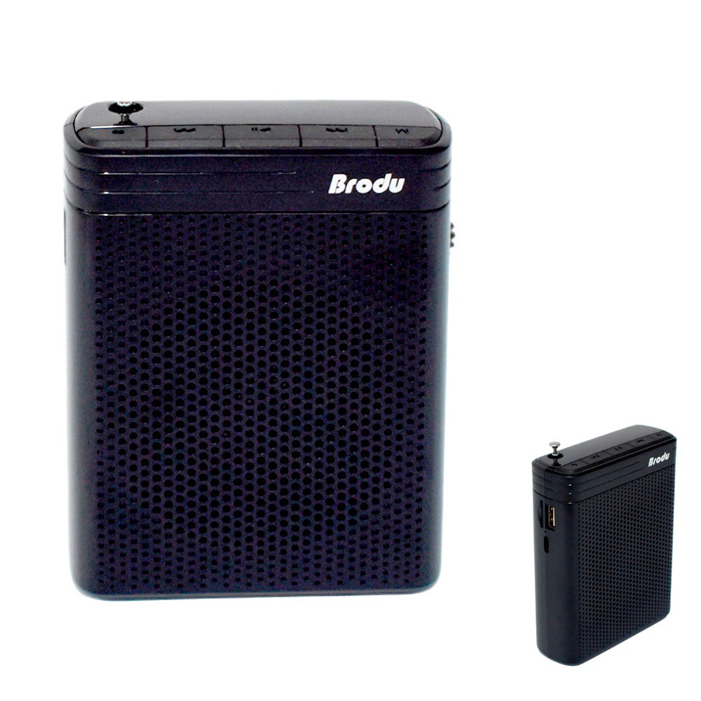 Miniatura 3 de Radio Parlante Con Perifoneo Brodu BTS-1