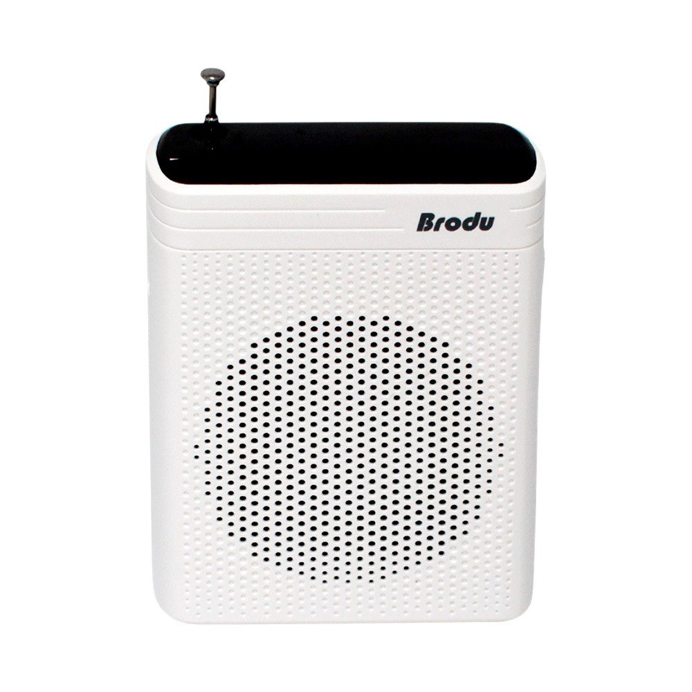 Radio Parlante Con Perifoneo Brodu BTS-1