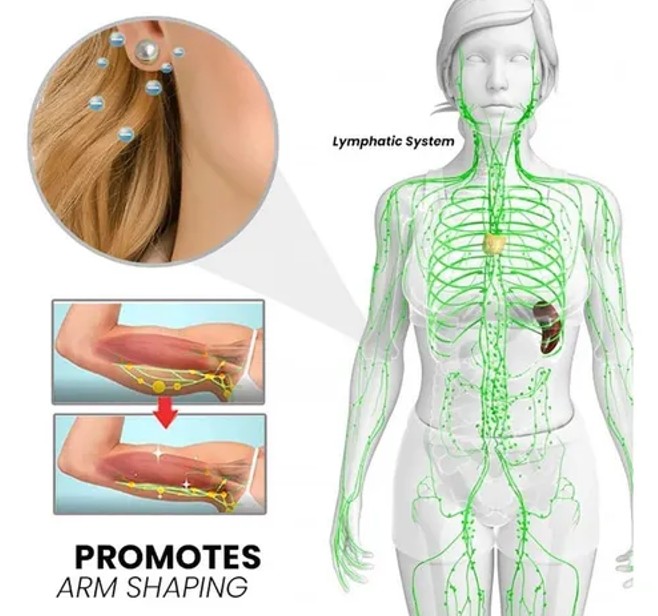 Miniatura 6 de Pendientes de Adelgazamiento Acupresión
