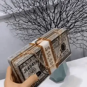 Miniatura 2 de *BOLSO MONEY