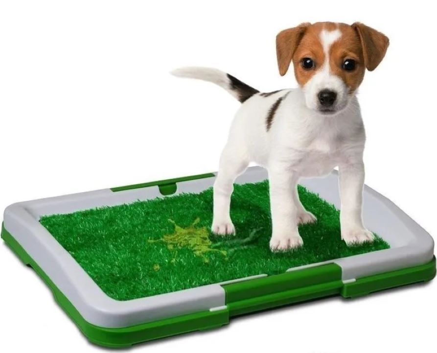 Tapete Para Perro De Entrenamiento Bano Pequeno 2