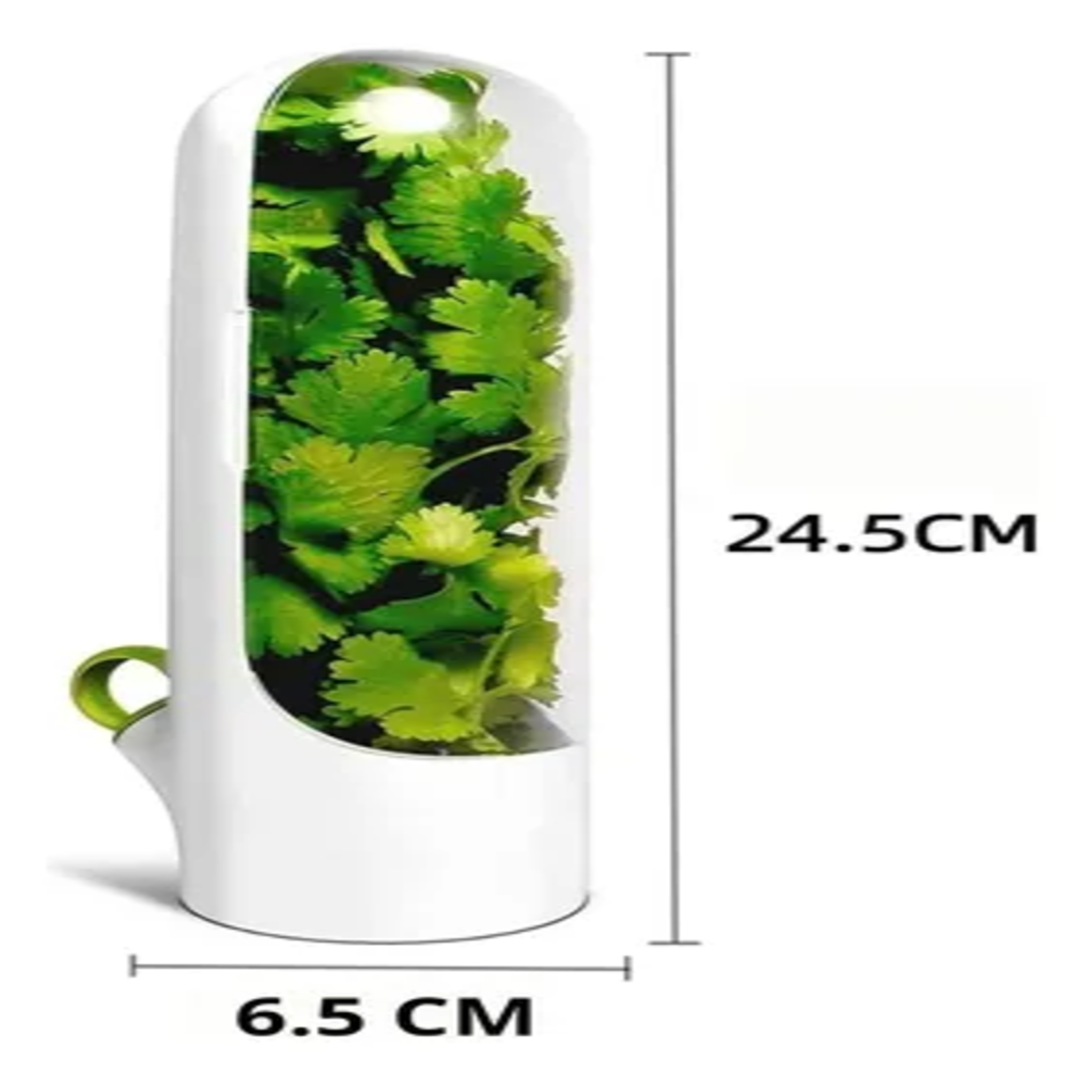 Miniatura 3 de Recipiente Contenedor Hiervas