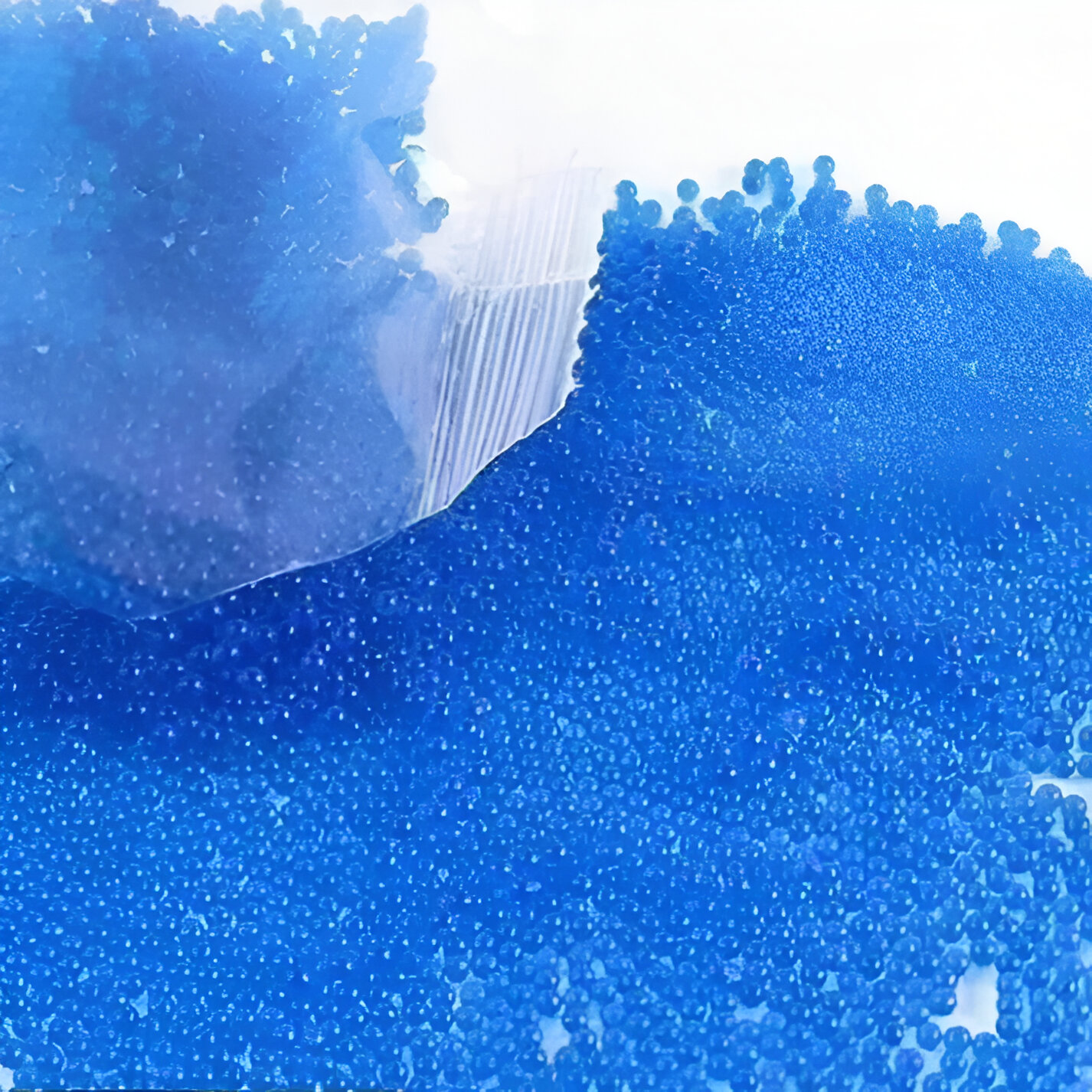 🌊 Paquete de Bolas de Hidrogel Orbis 68mm - Diversión Acuática! 4