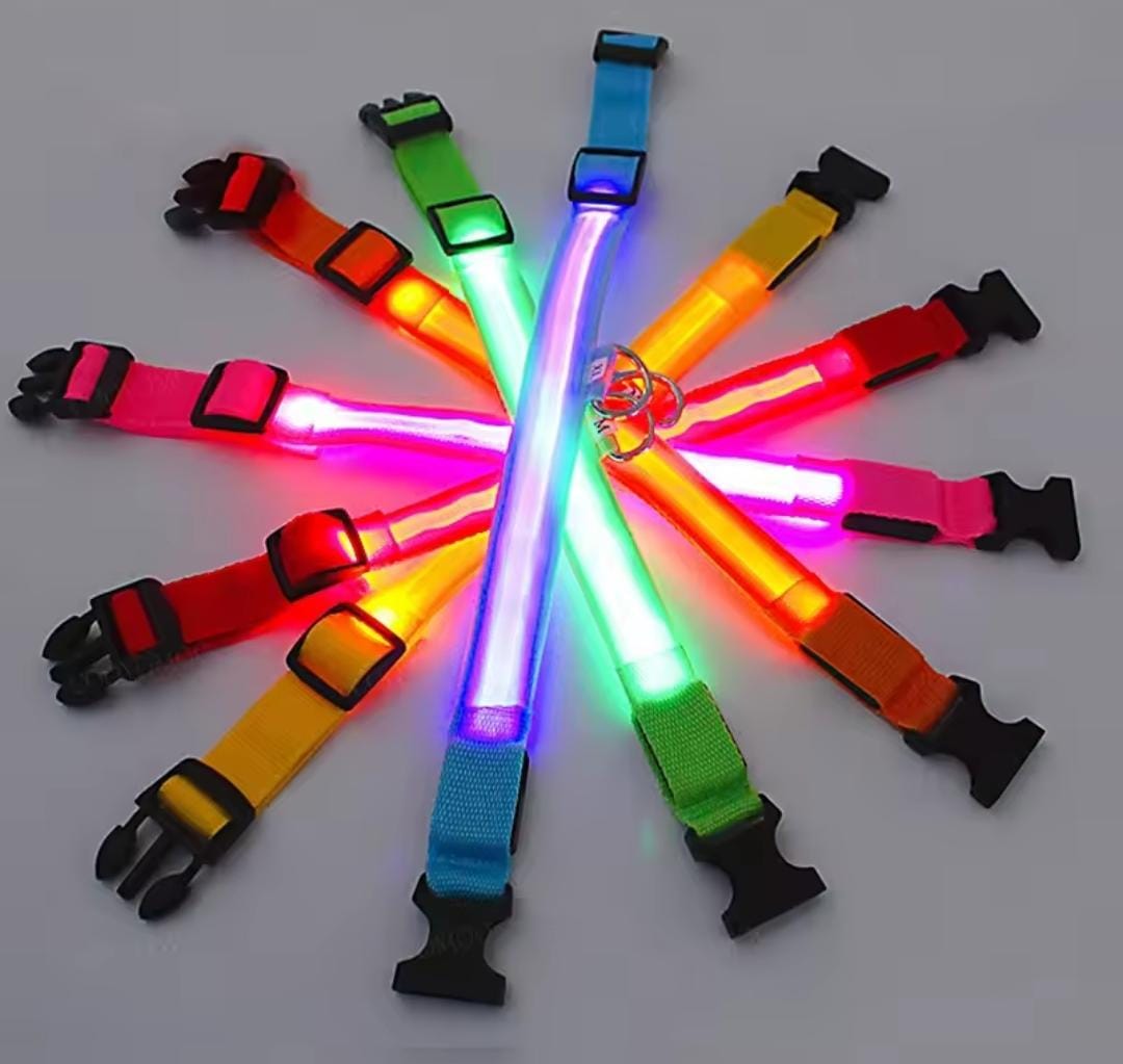 Collar Reflectivo Para Perros Con Luz 6