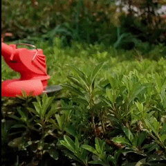 Mini Cortadora de césped inalámbrica 48V