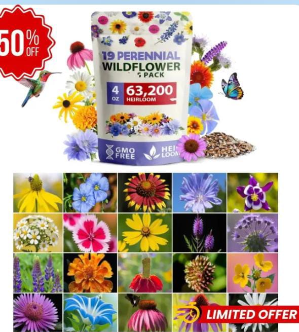 Miniatura 2 de FLORES TODO EL AÑO - SEMILLAS MIXTAS PER