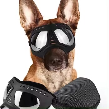 Miniatura 3 de Gafa mascota + estuche