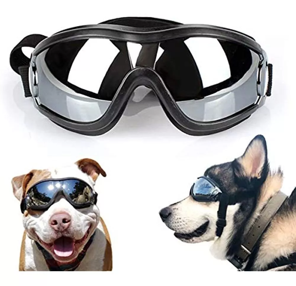 Miniatura 2 de Gafas para Perros