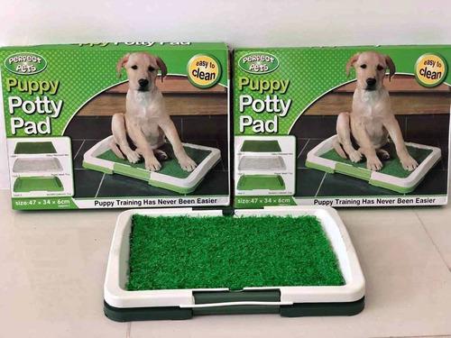 Tapete Entrenamiento Para Perro
