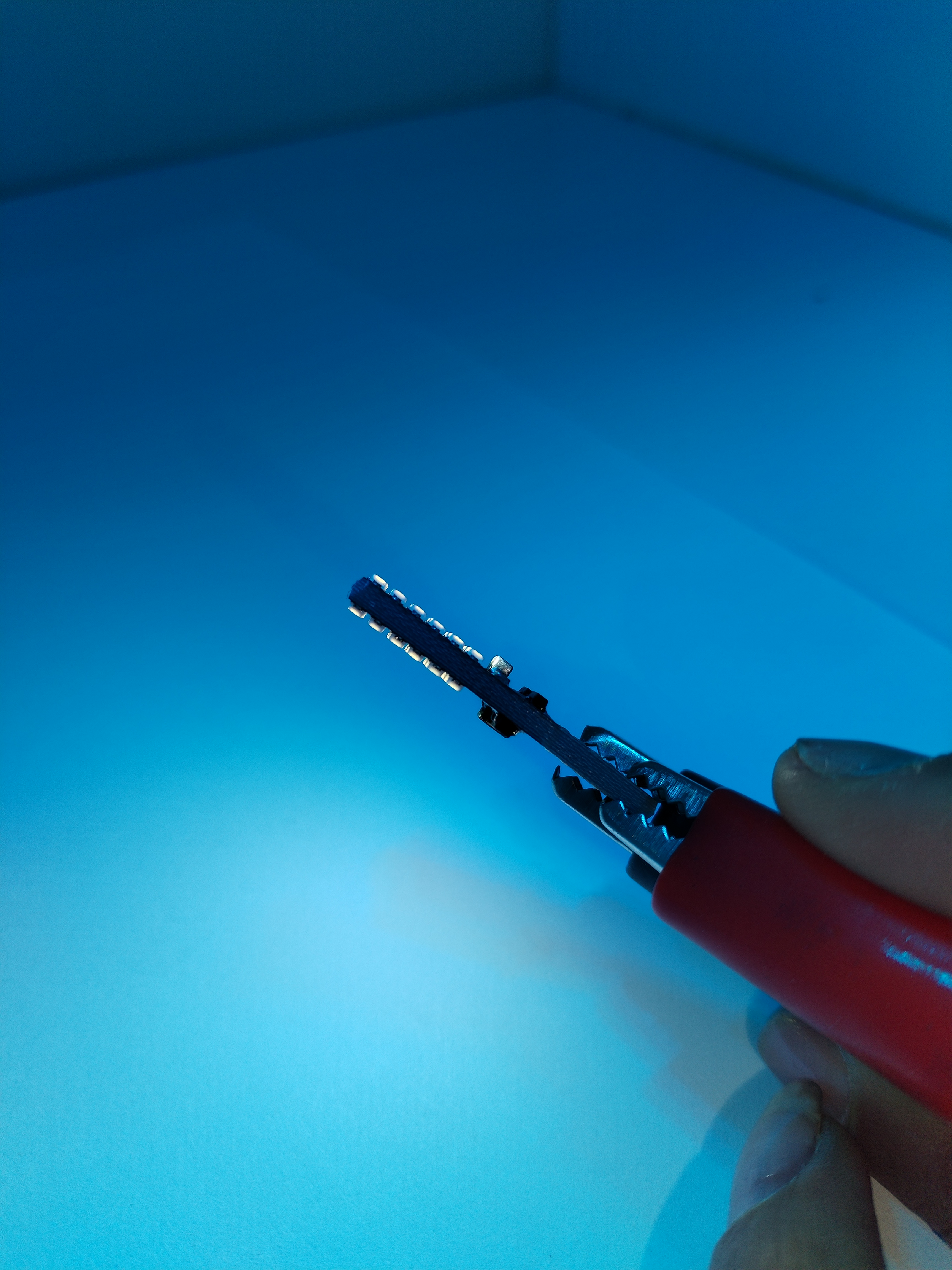 Miniatura 3 de PAR DE COCUYOS EN PALETA (T10-24 LED)