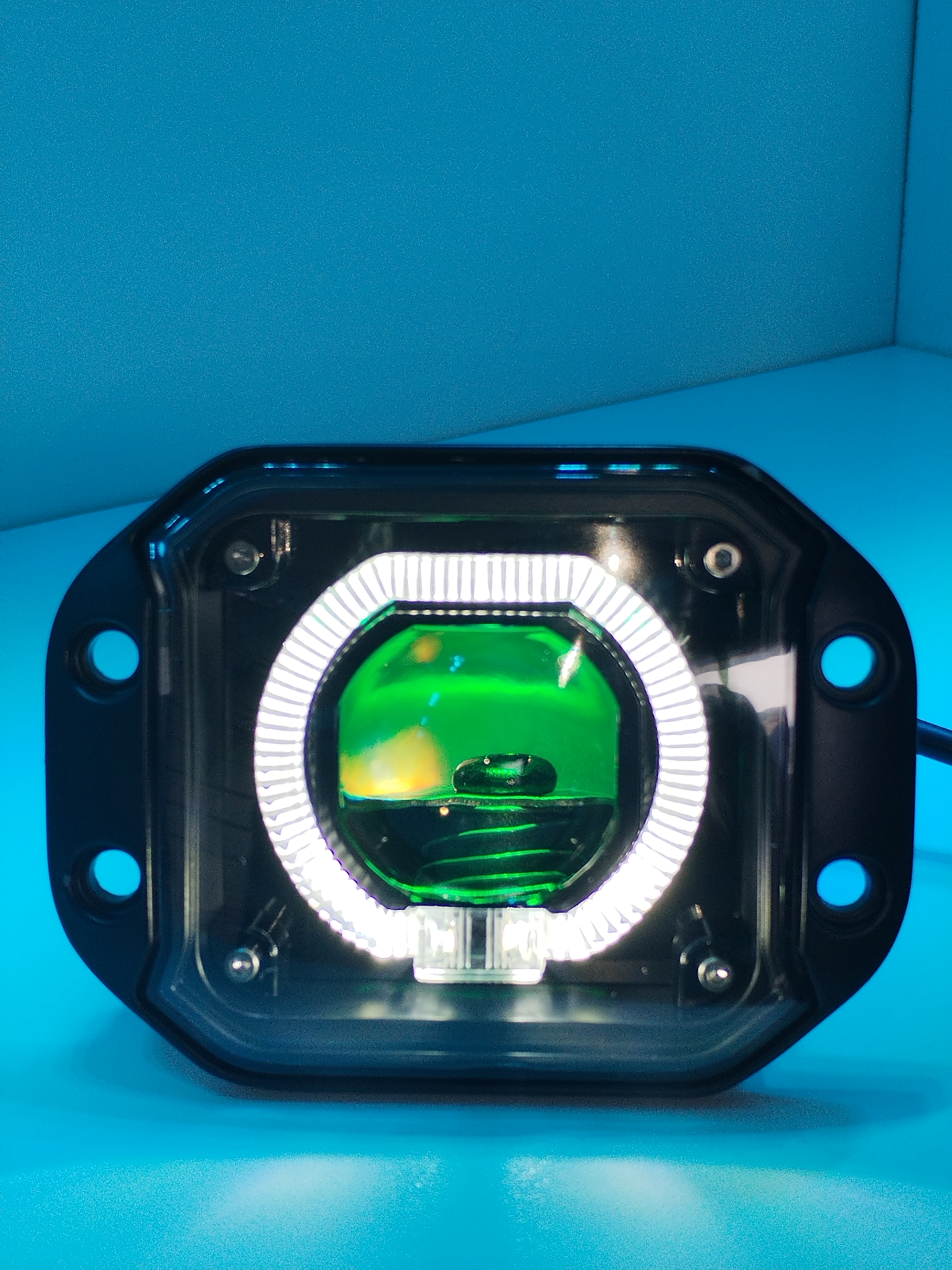 PAR DE EXPLORADORAS DE ENCAJE (TB528)