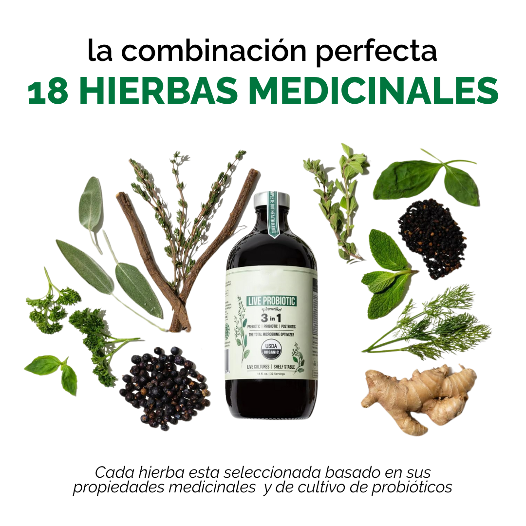 Miniatura 2 de LIVE PROBIOTIC - SALUD DIGESTIVA