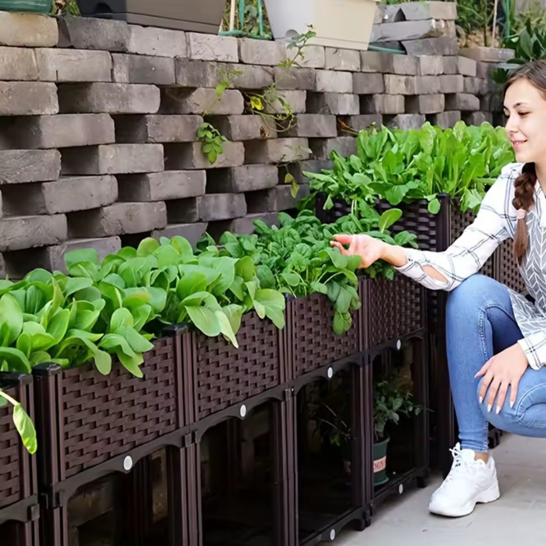 Miniatura 5 de Cama de Jardín Elevada 3 Puestos