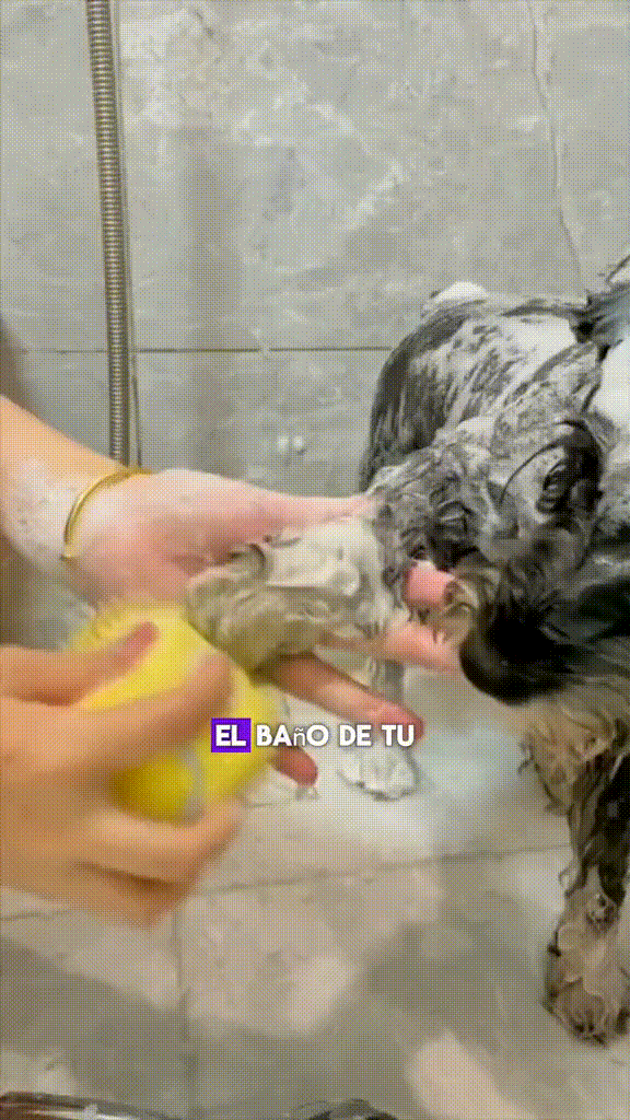 Cepillo Shampoo Masajeador para Mascotas