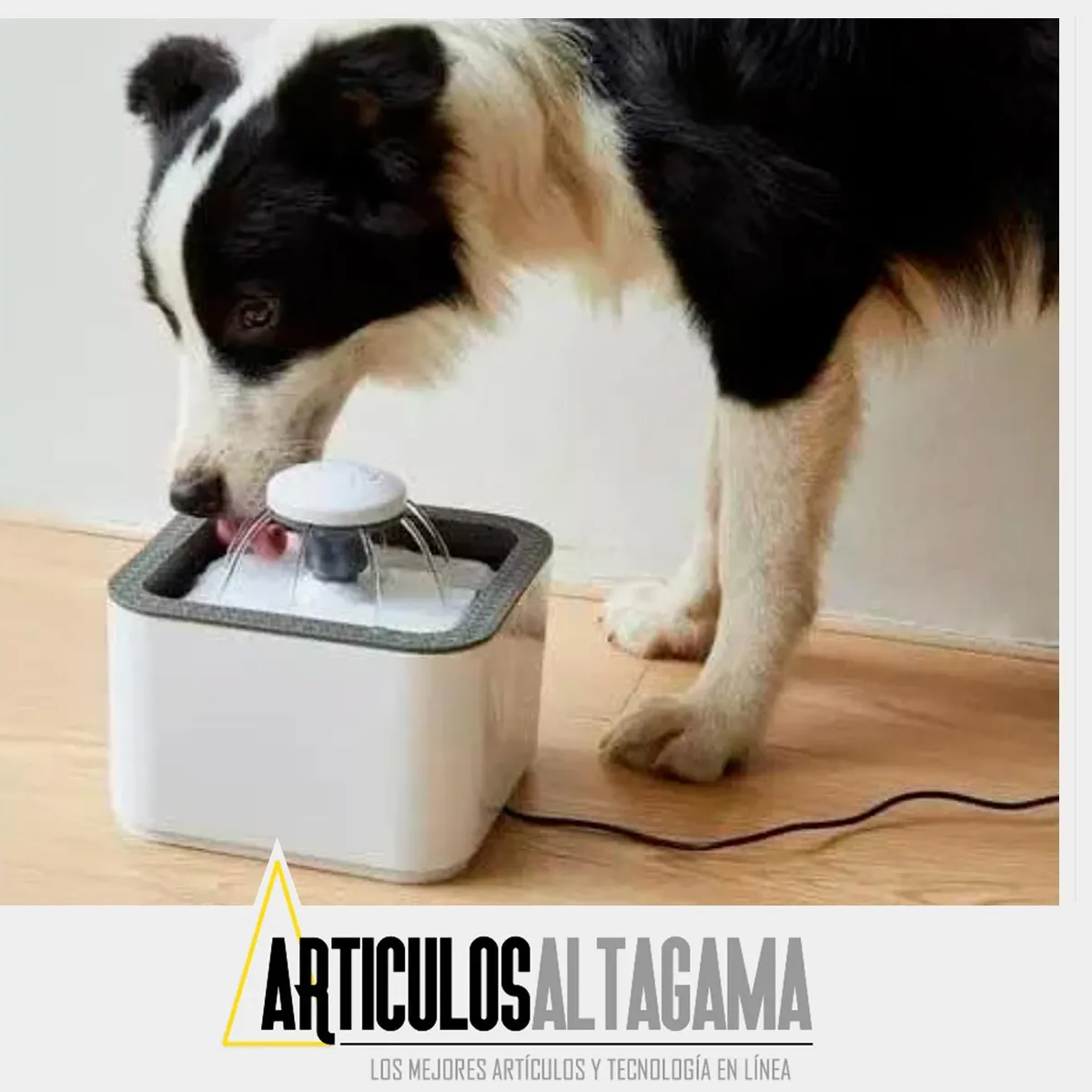 Miniatura 2 de Fuente De Agua Para Gatos