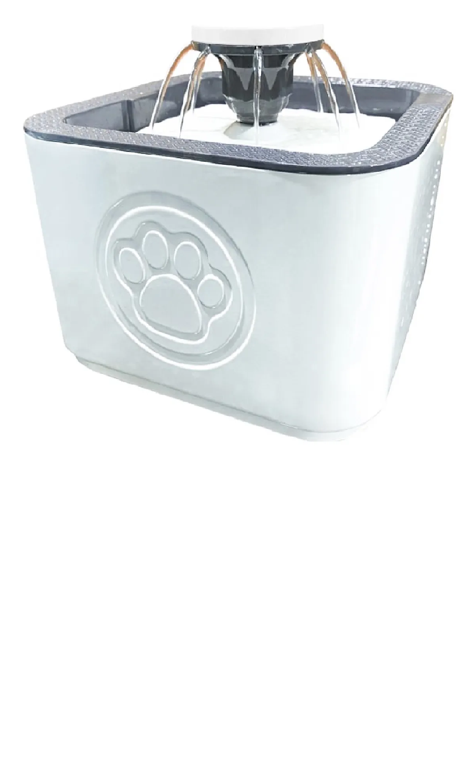 Bebedero Gato Bebedero Perros