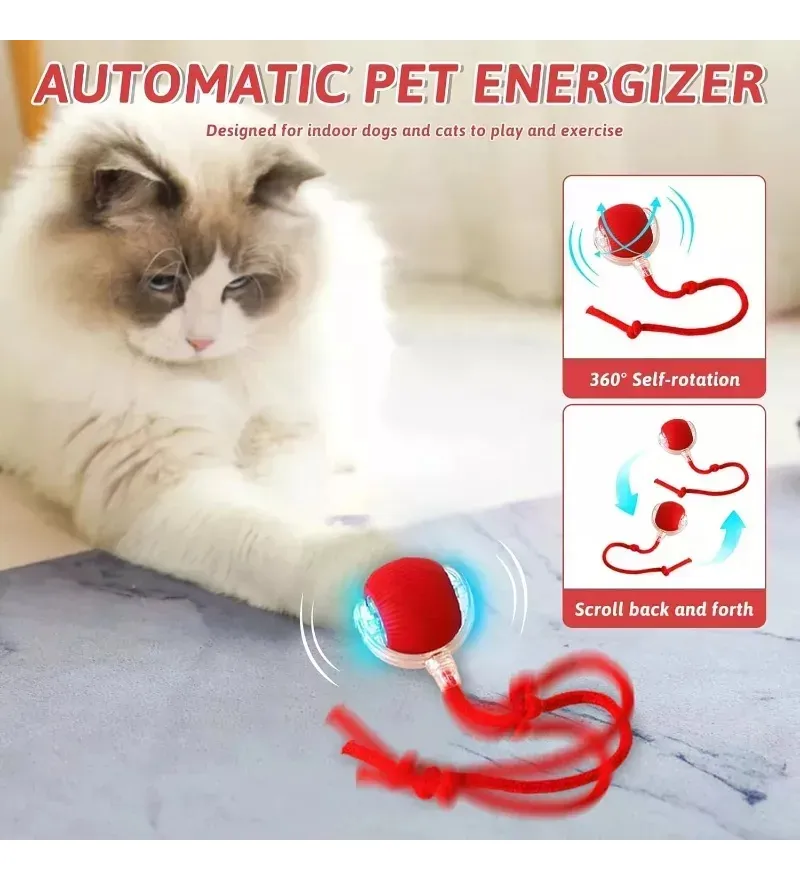 Miniatura 2 de PELOTA GIRATORIA MASCOTA