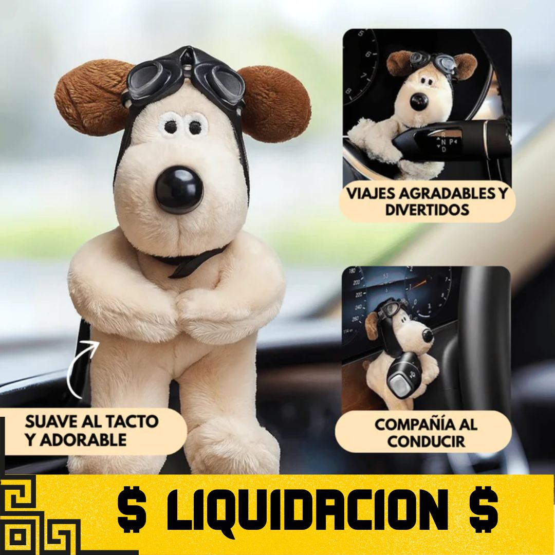 Decoracion para Coche