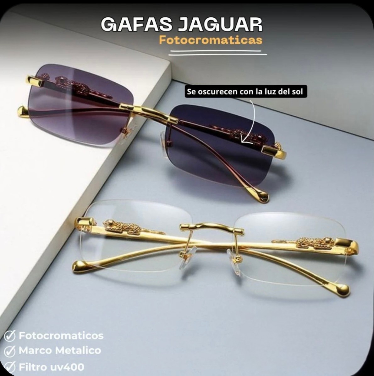 Gafa Fotocromatica CARTIER