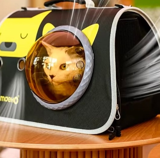 Maleta Transportadora