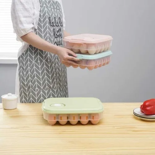 ORGANIZADOR DE HUEVOS *20