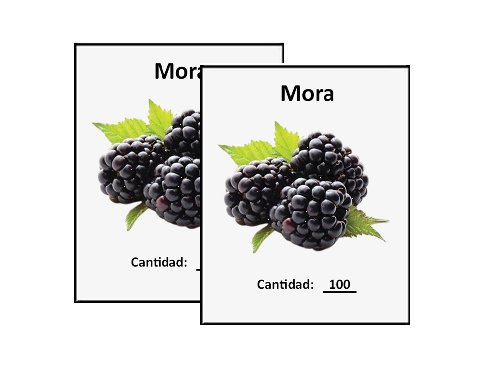 Kit 2 sobres Semillas De Mora