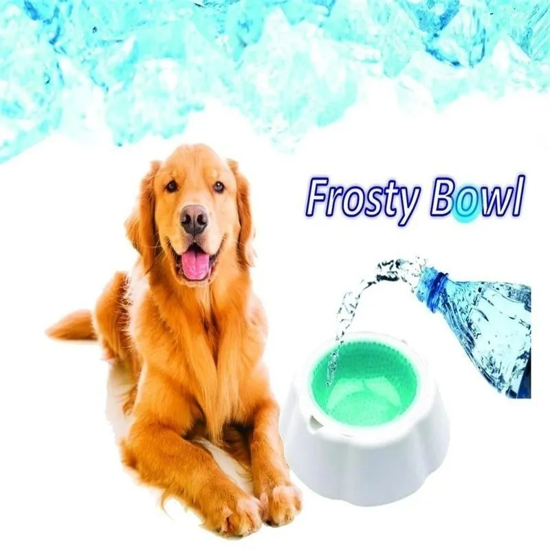 PLATO PARA MASCOTA FRESH