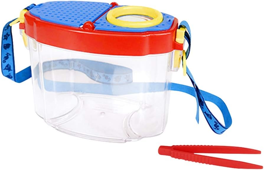 CAJALUPA OBSERVACION INSECTOS PARA NIÑOS