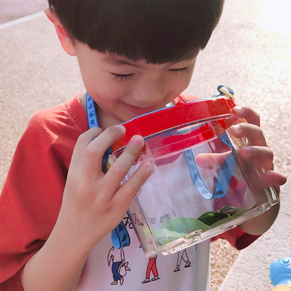 Miniatura 4 de CAJALUPA OBSERVACION INSECTOS PARA NIÑOS