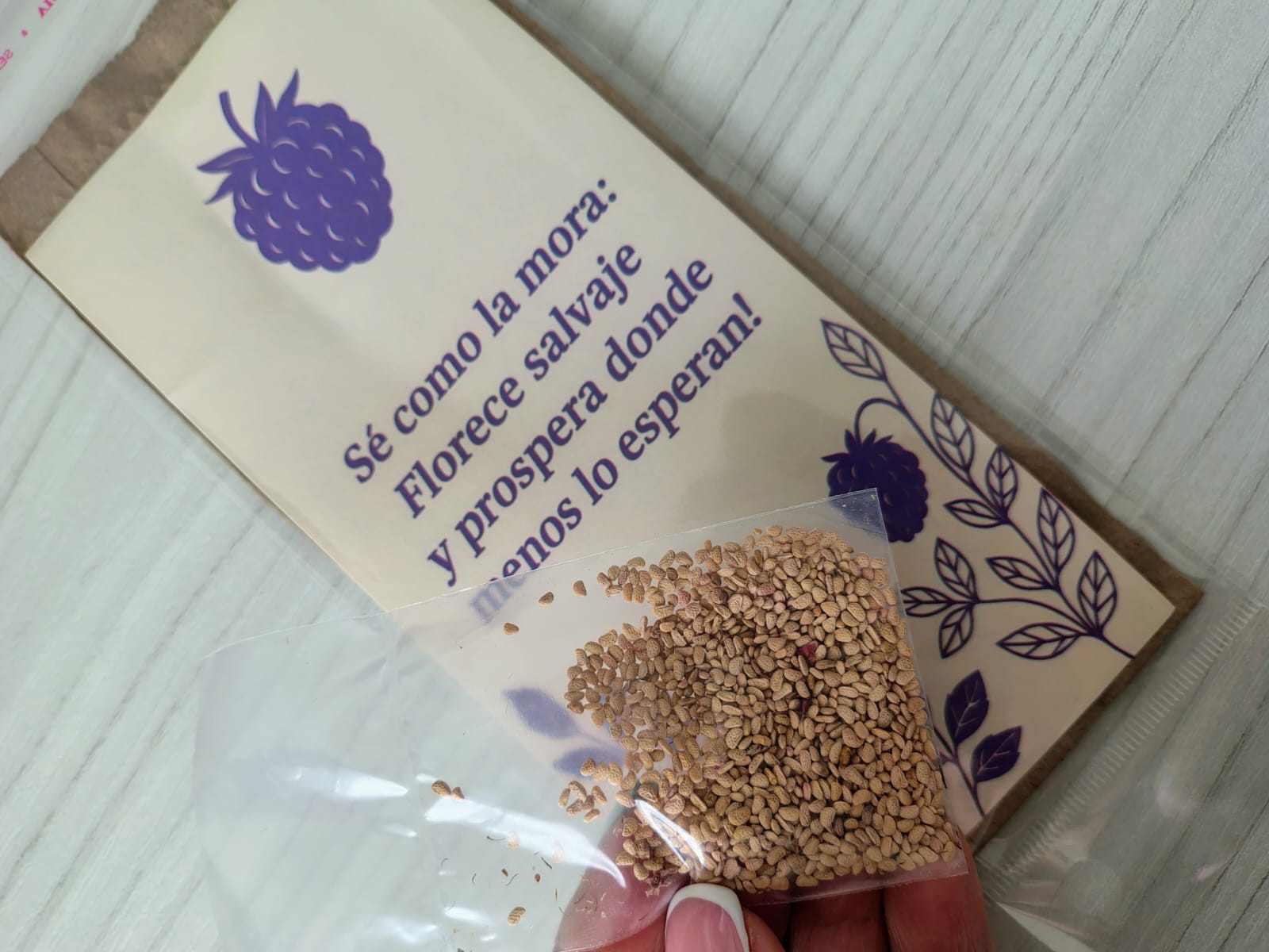 Miniatura 2 de SEMILLAS DE MORA