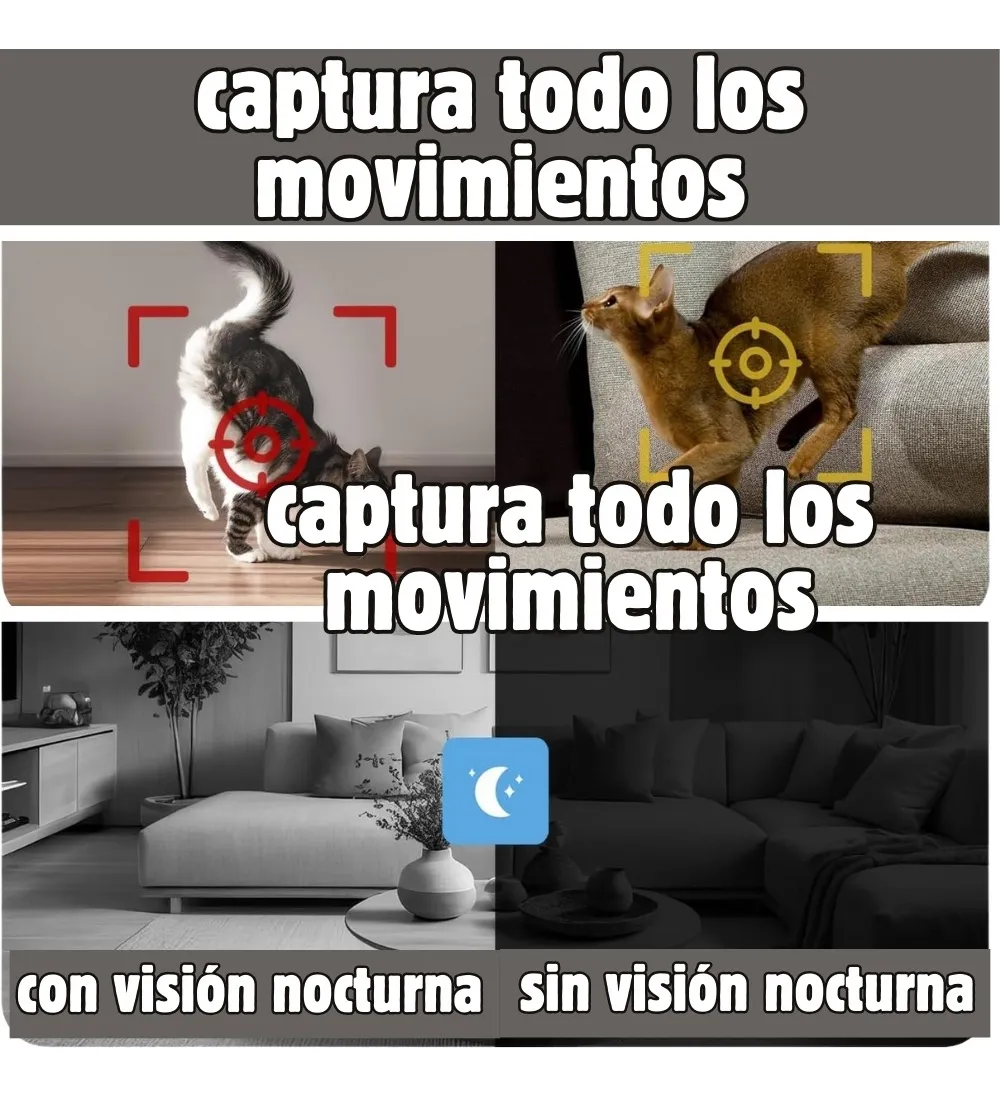 CAMARA CON MONITOR