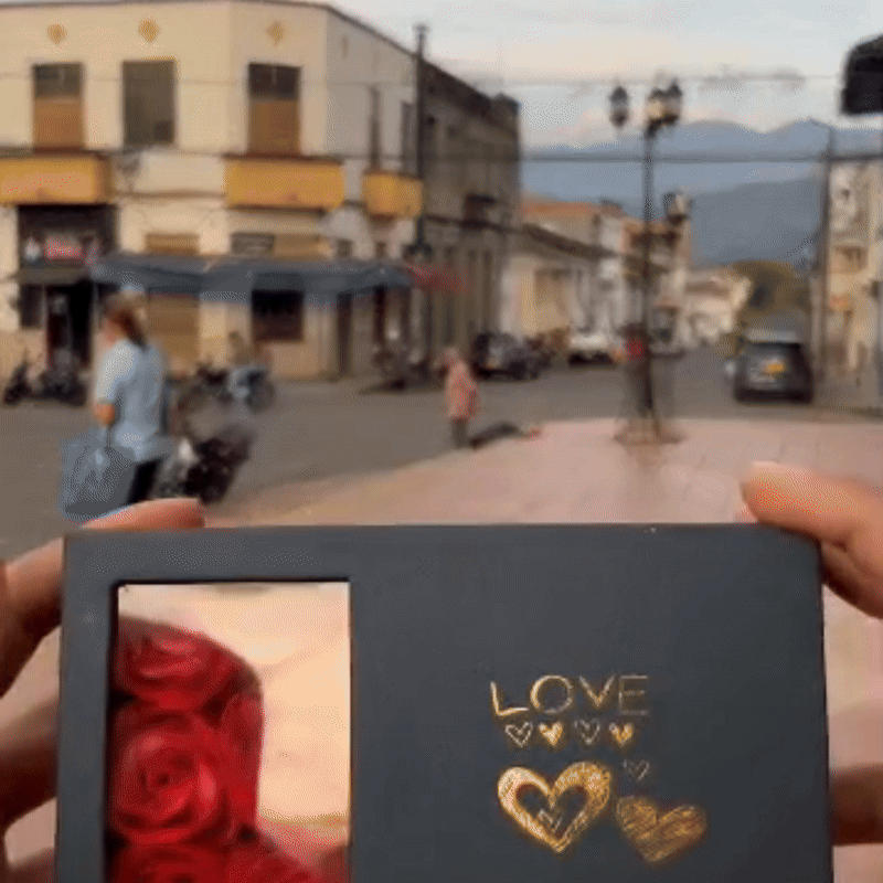 Set Mulan + Caja Rosas