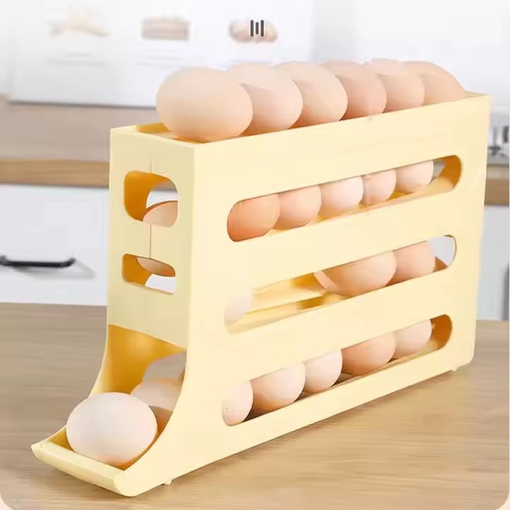 ORGANIZADOR DE HUEVOS