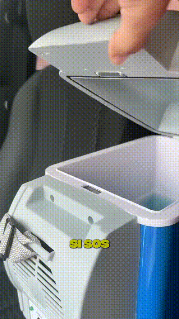 Mini Nevera Portátil De Carro