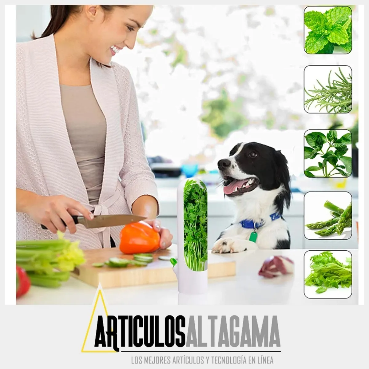 Recipiente Conservador De Hierbas