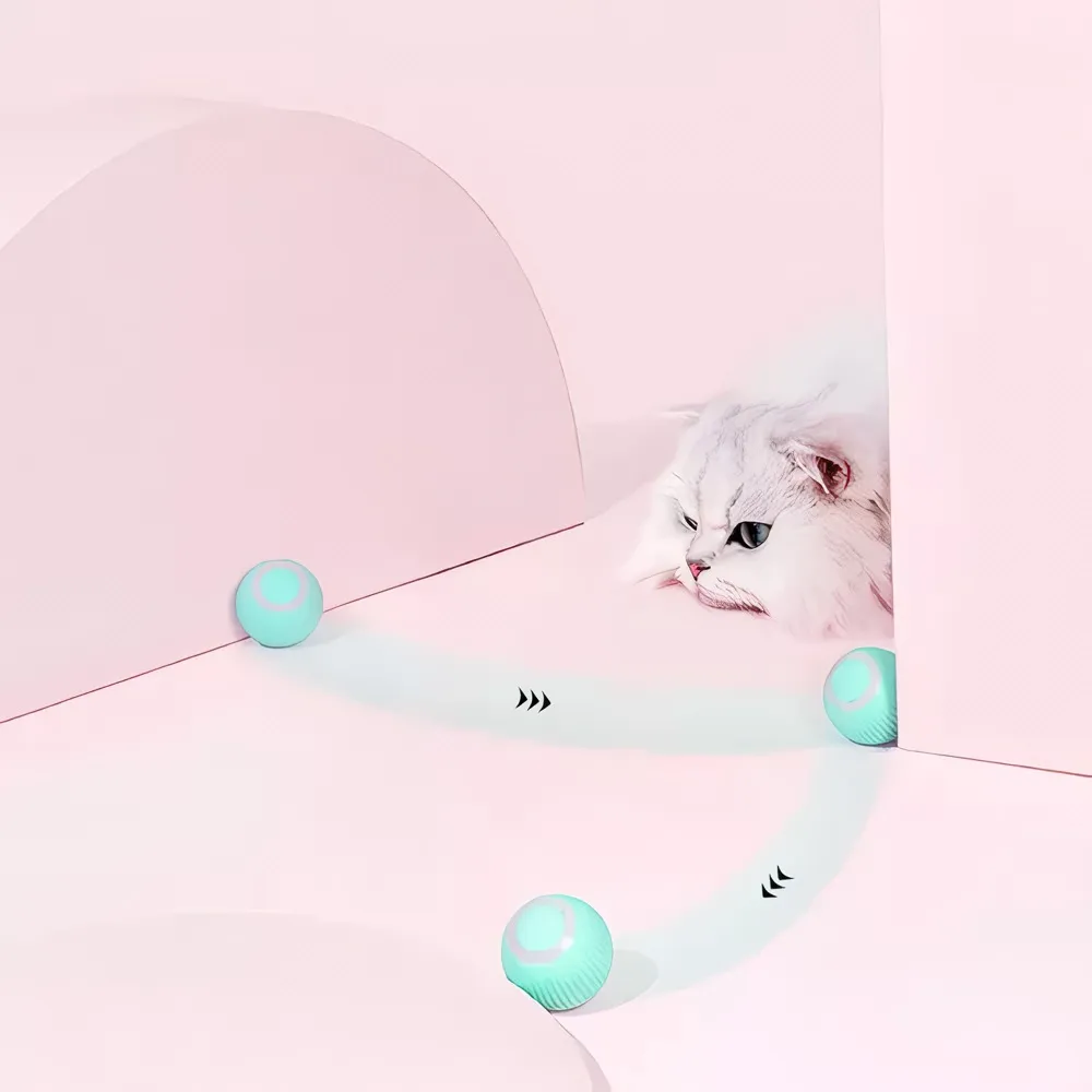 Miniatura 3 de MASCOTAS PELOTA RECARGABLE