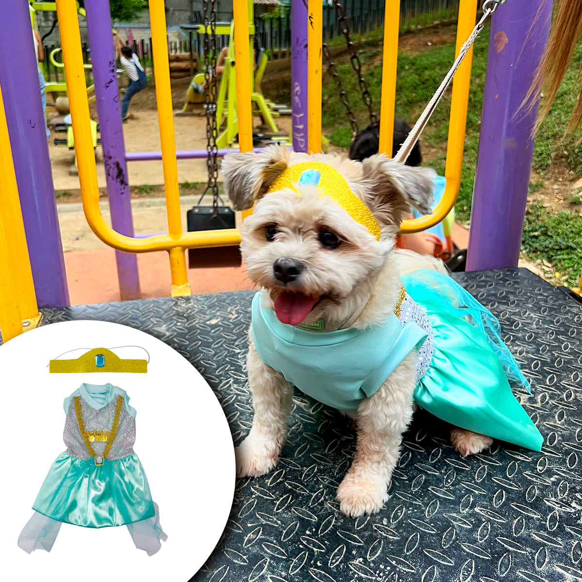 Disfraz Para Mascotas Jasmine DMJ-013