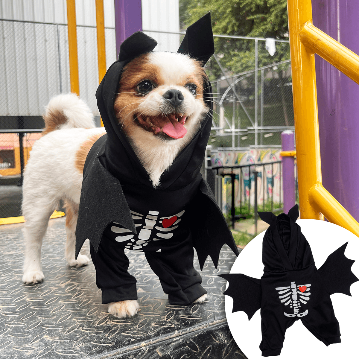 Disfraz Para Mascotas Murcielago DMM-02