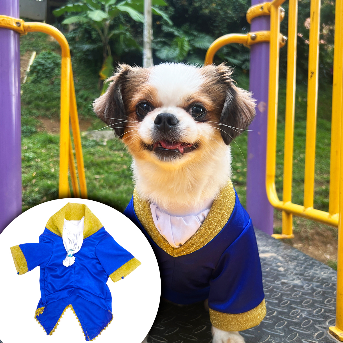 Disfraz Para Mascotas Príncipe DPAM-01