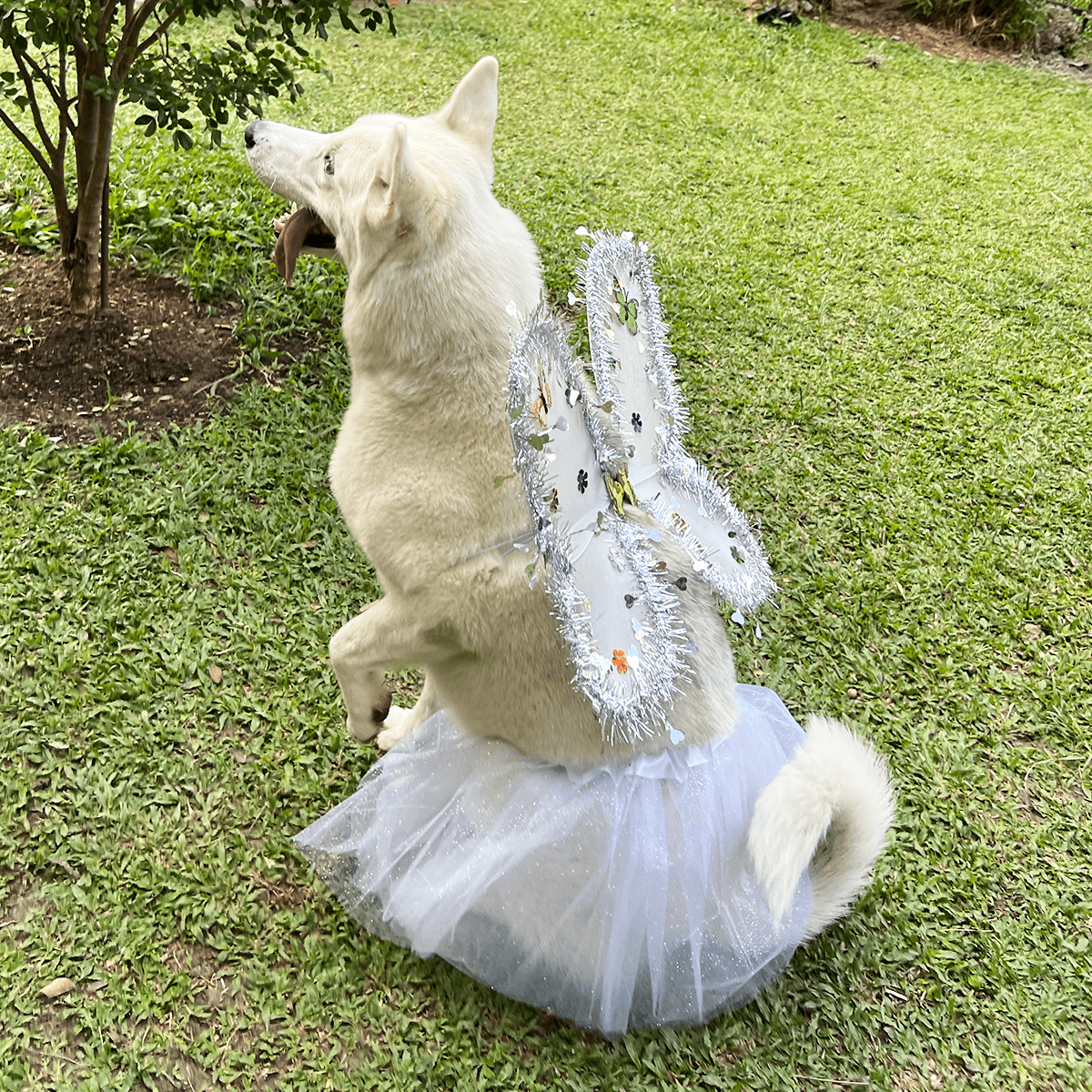 Miniatura 2 de Disfraz Para Mascotas Angel OF-1500PET