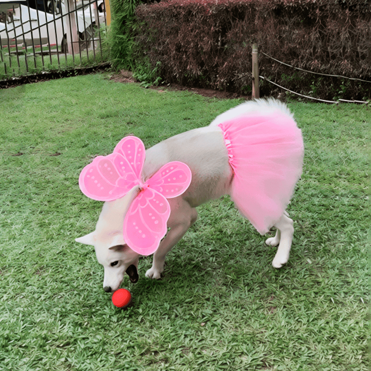 Miniatura 2 de Disfraz Mascota Hada Tutu OF-1507PET