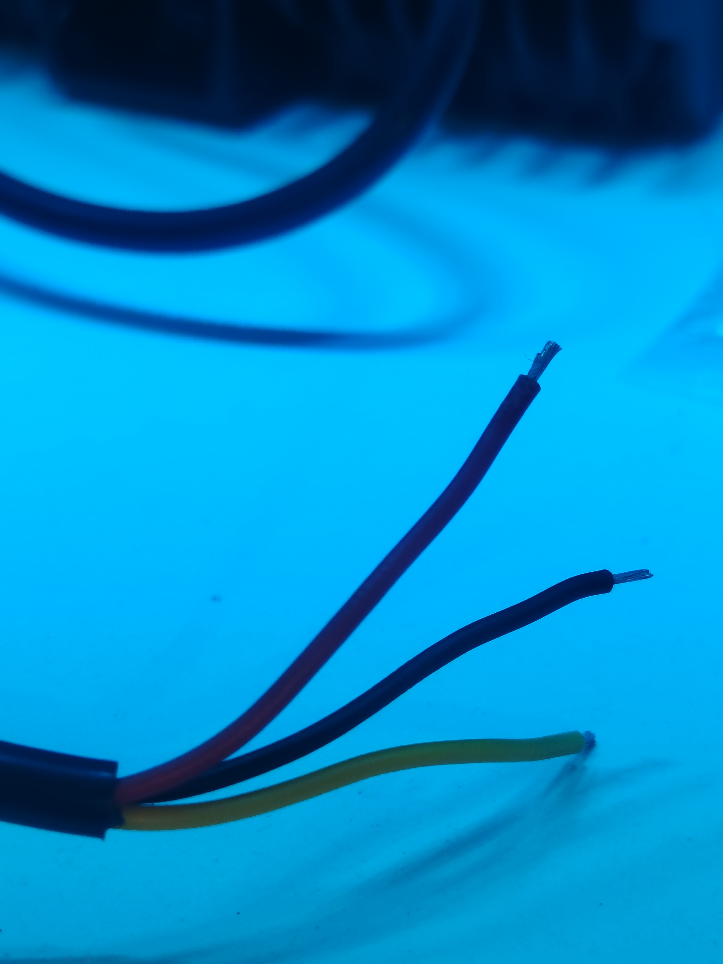 Miniatura 6 de PAR EXPLORADORAS 10 LUPAS(TB622)