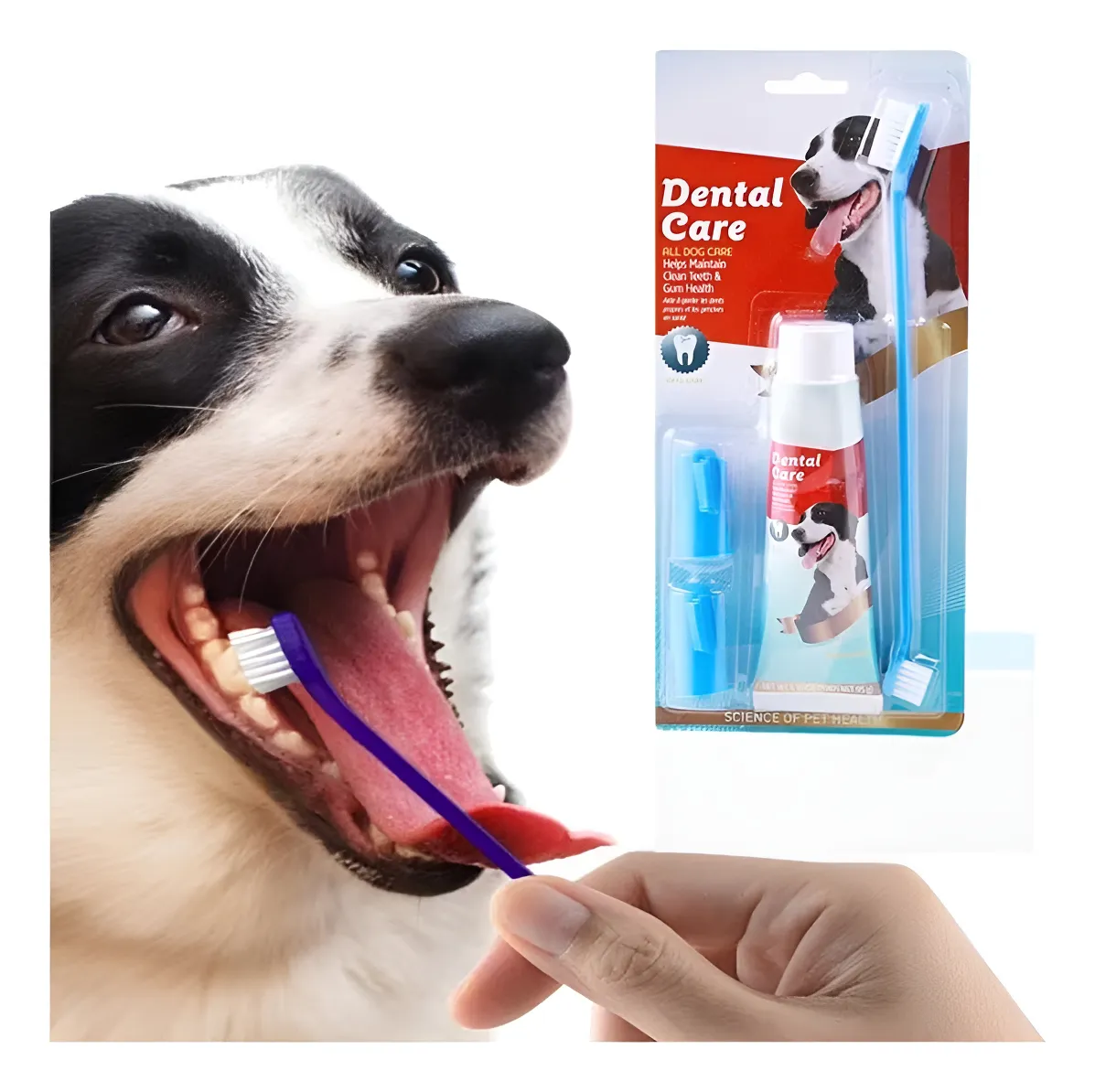 Crema Dental Para Perros Perro Gato