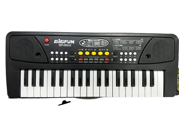 Miniatura 8 de Piano Electrónico BIGFUN BF-430A2