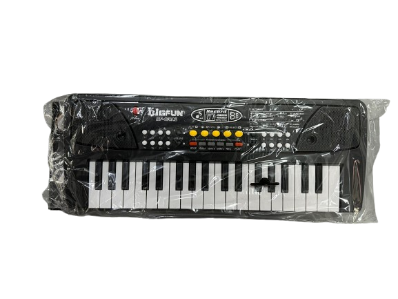 Miniatura 9 de Piano Electrónico BIGFUN BF-430A2