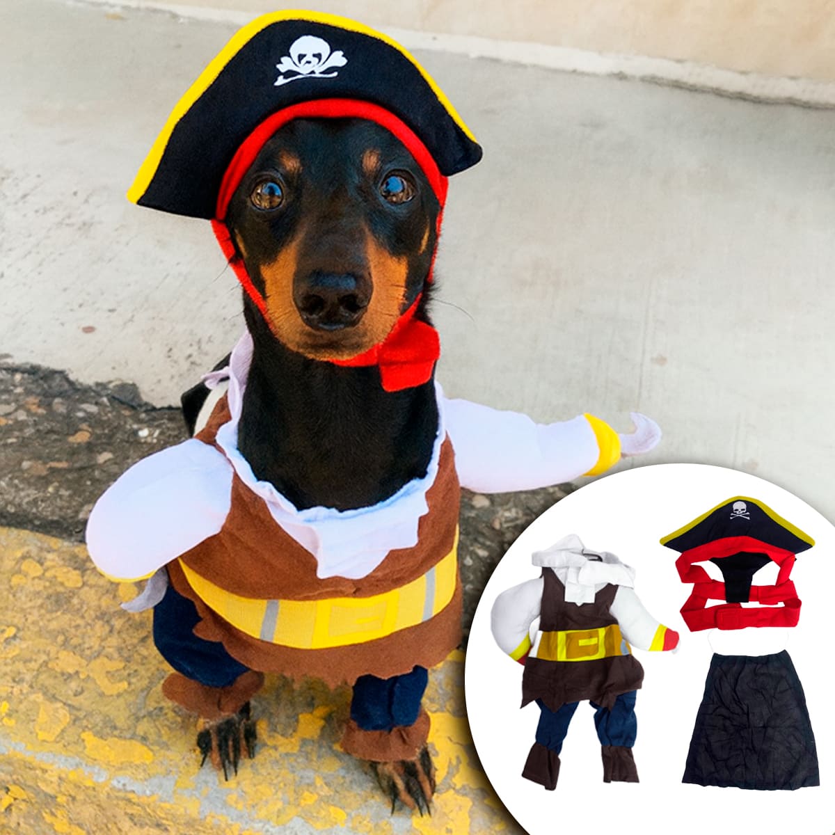 Disfraz Para Mascotas De Pirata PR395