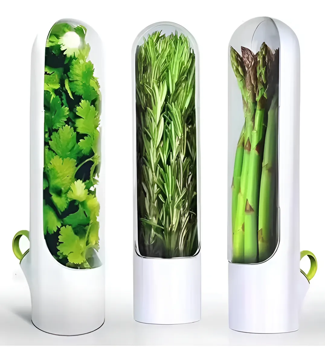 Conservador De Vegetales. Vaso Mantenimi