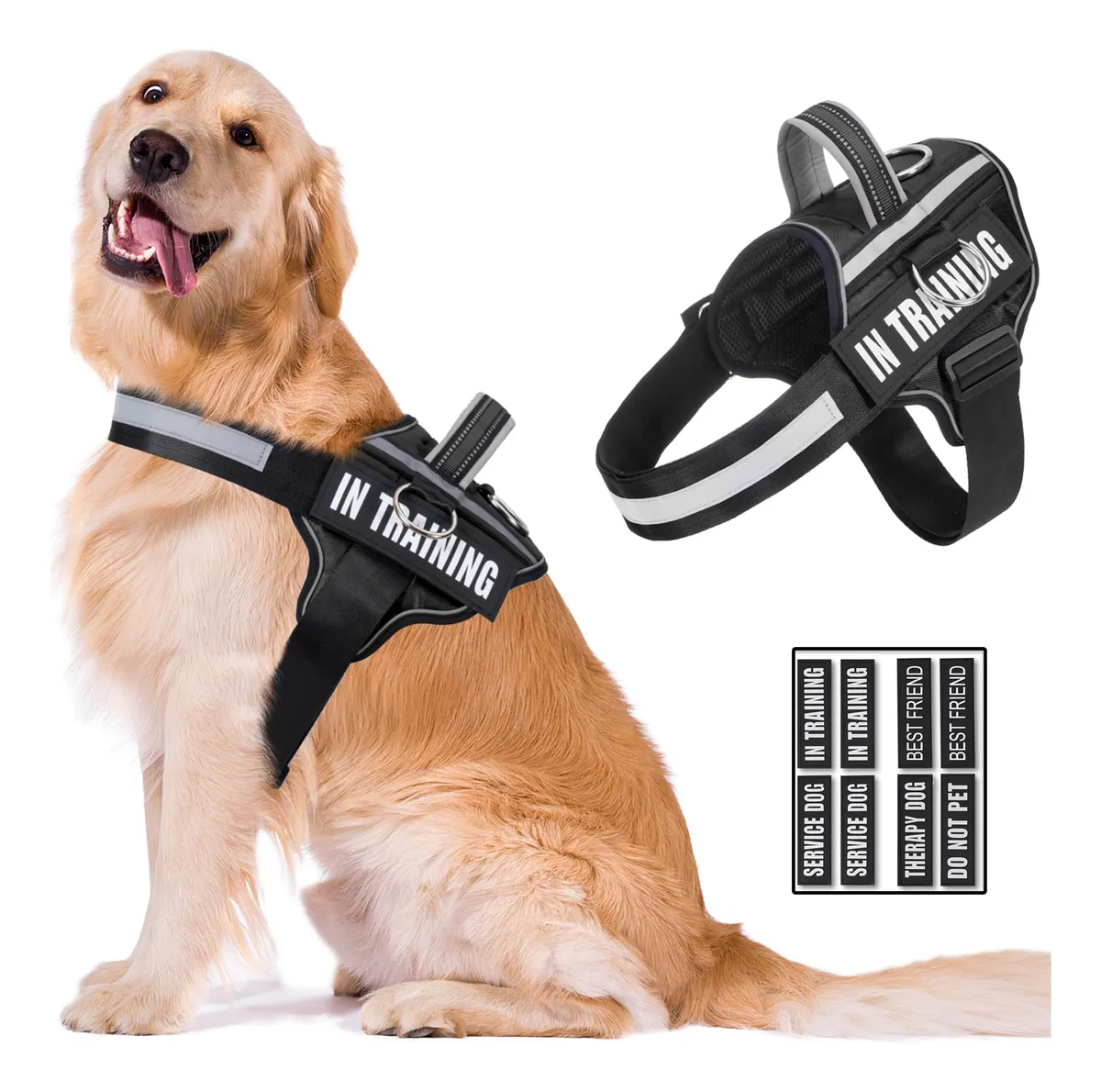 Chaleco para mascota